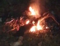 Pelaku Pembunuhan SadisTerhadap Mahasiswi UTM Ternyata Kekasihnya Sendiri