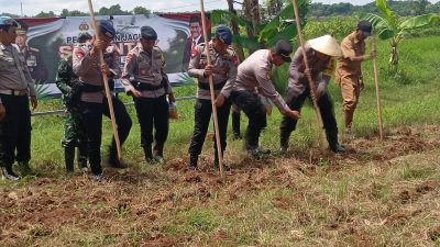 Penanaman Jagung Pioneer Hibrida Dukung Ketahanan Pangan di Wilayah Polsek Sokobanah
