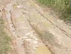 Tanpa Perhatian, Jalan Poros Desa Tolang Becek