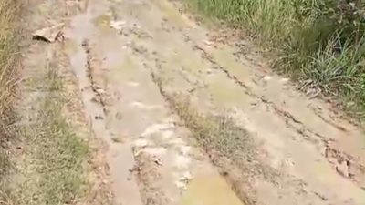Tanpa Perhatian, Jalan Poros Desa Tolang Becek