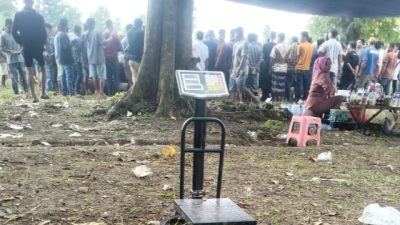Diduga Judi Sabung Ayam Masih Beroperasi di Desa Sokobanah Tengah Sampang, Polisi Diminta Tegas