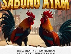 ” Blaban ” Desa Asal Wabup Pamekasan, Jadi Sorotan Gegara Judi Sabung Ayam