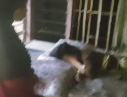 Lansia 75 Th Hidup Dengan Seorang Anak Disabilitas Tidak Pernah Disentuh Bantuan Pemerintah