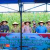 Polres Banggai Panen Raya Jagung, Kapolres Apresiasi Petani Toili Dukung Swasembada Pangan