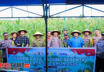 Polres Banggai Panen Raya Jagung, Kapolres Apresiasi Petani Toili Dukung Swasembada Pangan