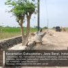Aneh Tapi Nyata! Pohon Dibiarkan Berdiri di Tengah TPT, Proyek Jalan Sukamelang sampai Kedokan Gabus Jadi Sorotan