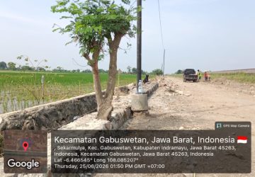 Aneh Tapi Nyata! Pohon Dibiarkan Berdiri di Tengah TPT, Proyek Jalan Sukamelang sampai Kedokan Gabus Jadi Sorotan