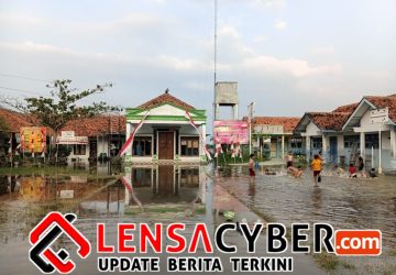 Rob Lumpuhkan Ketapang di Hari Lingkungan Hidup, Pemdes: Anggaran Desa Terbatas, Butuh Intervensi Pusat