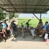 Di Tengah Ancaman Kekeringan, Bantuan IRPOM Hidupkan Harapan Petani Poktan Pudak Sari Sekarmulya