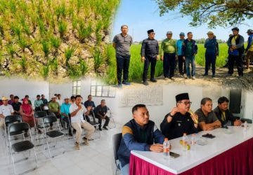 Sawah Mulai Retak, Tanaman padi Mulai Melayu, Petani Gabuswetan Datangi Kantor Kecamatan Desak Penanganan Krisis Air Irigasi