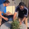 Camat Ulujami Bersama ASN Gelar Korve JATENG ASRI, Wujudkan Lingkungan Kantor yang Bersih dan Nyaman