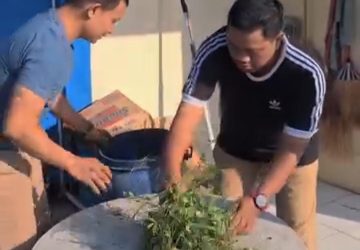 Camat Ulujami Bersama ASN Gelar Korve JATENG ASRI, Wujudkan Lingkungan Kantor yang Bersih dan Nyaman