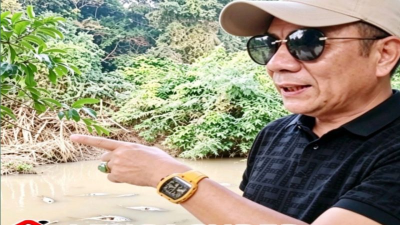 Sungai Way Bungur Tercemar Limbah dan Perburuan Ikan Ilegal, Nelayan Terancam Masa Depan