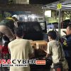 Penyelundupan Besar Terbongkar, 977 Ekor Burung Disita di Pelabuhan Bakauheni