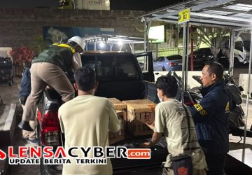 Penyelundupan Besar Terbongkar, 977 Ekor Burung Disita di Pelabuhan Bakauheni