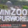 Tuntut Keadilan, Tersangka Mini Zoo Dipersoalkan