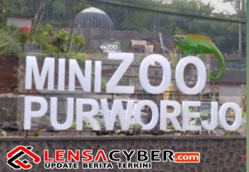 Tuntut Keadilan, Tersangka Mini Zoo Dipersoalkan
