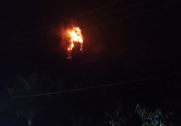 Akses Medan Terjal, Warga Minta Helikopter Water Bombing Padamkan Kebakaran Bukit Kuri