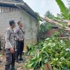 Pohon Besar Tumbang Timpa 4 Rumah Warga di Mamek, Kerugian Capai Rp60 Juta