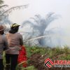Kapolres Melawi Bersama BPBD, Damkar, Sat Pol PP dan Tim Pemadam PT.RKA Padamkan Api