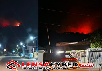 Polsek Pagimana Cek Hotspot di Desa Sepa, 10 Hektare Lahan Ilalang Terbakar