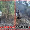 Sigap Tangani Karhutla, Bhabinkamtibmas dan Warga Padamkan Api di Balantak