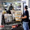 ‎Ribuan Burung Tanpa Dokumen Terjaring di Bakauheni, Petugas Bongkar Modus Pengangkutannya!  ‎