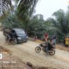 Pemilik Lahan dan Warga Tangkap Basah Sindikat Pencurian Sawit di Desa Randau, Ketapang