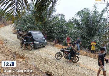 Pemilik Lahan dan Warga Tangkap Basah Sindikat Pencurian Sawit di Desa Randau, Ketapang