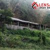 Ratusan Babi di Sendangsari Disorot, Warga Keluhkan Bau dan Dugaan Limbah Masuk Sungai